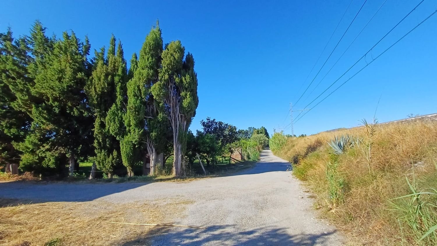 5152m² Land in Torrenova, Italy No. 300828