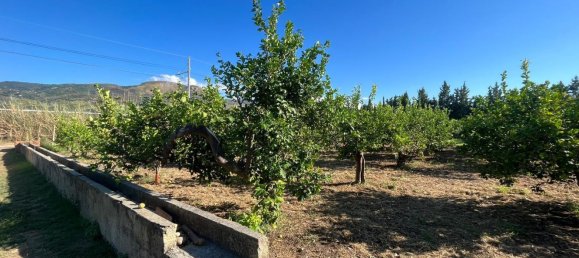 5152m² Land in Torrenova, Italy No. 300828 12