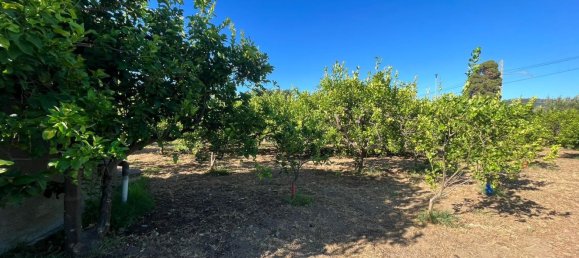 5152m² Land in Torrenova, Italy No. 300828 13