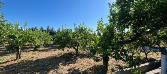 5152m² Land in Torrenova, Italy No. 300828 11