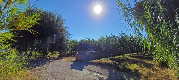 5152m² Land in Torrenova, Italy No. 300828 5