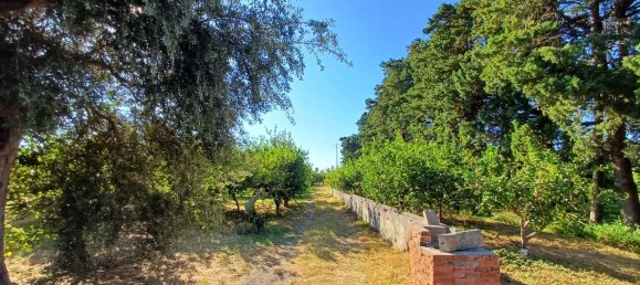 5152m² Land in Torrenova, Italy No. 300828 22