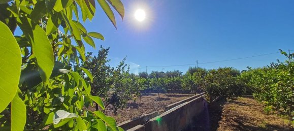 5152m² Land in Torrenova, Italy No. 300828 21