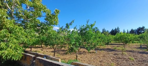 5152m² Land in Torrenova, Italy No. 300828 15