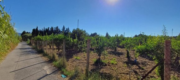 5152m² Land in Torrenova, Italy No. 300828 18