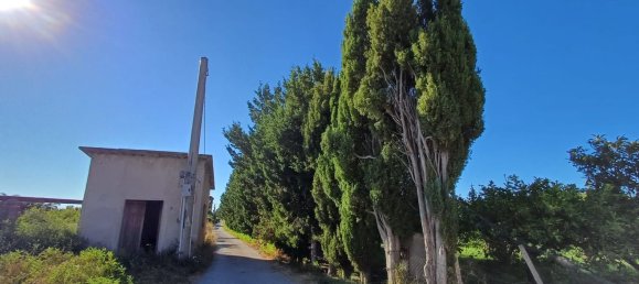 5152m² Land in Torrenova, Italy No. 300828 20