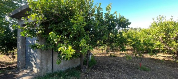 5152m² Land in Torrenova, Italy No. 300828 10