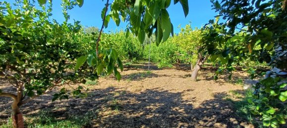 5152m² Land in Torrenova, Italy No. 300828 7