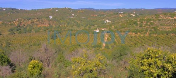 1140000m² Land in Tavira, Portugal No. 73315 3