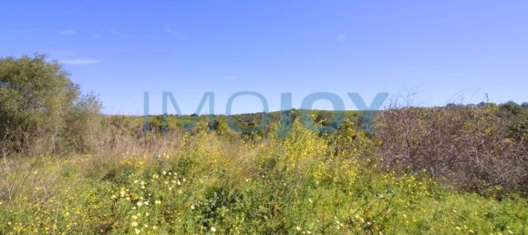 1140000m² Land in Tavira, Portugal No. 73315 8