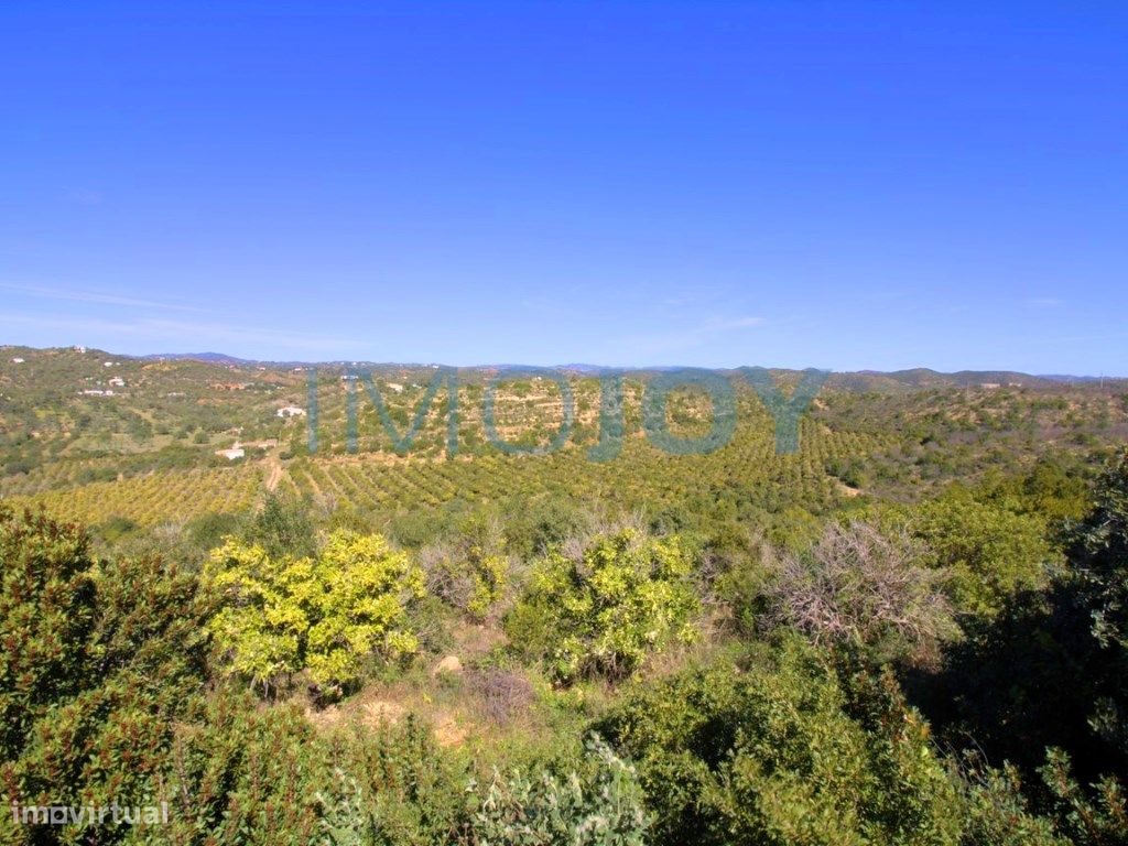 1140000m² Land in Tavira, Portugal No. 73315