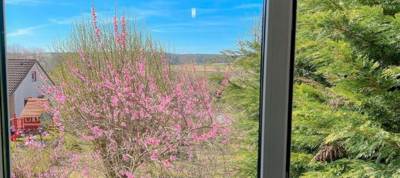 6 غرف نوم تاون هاوس في Bavaria, Germany رقم 322986 21