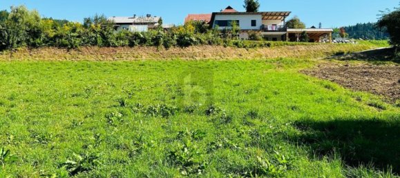 1870m² Land in Ludmannsdorf, Austria No. 197101 4