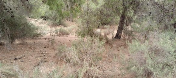 Земельный участок 5000м² в Тотана, Испания № 157290 7