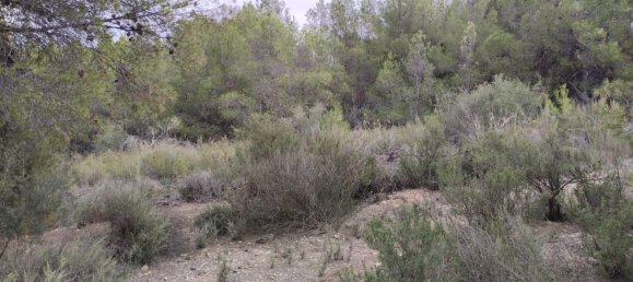 Земельный участок 5000м² в Тотана, Испания № 157290 5