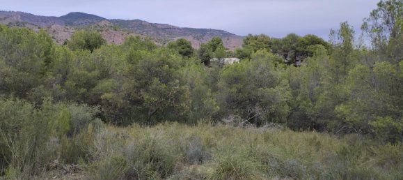 Земельный участок 5000м² в Тотана, Испания № 157290 2