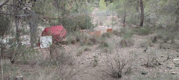 Земельный участок 5000м² в Тотана, Испания № 157290 3