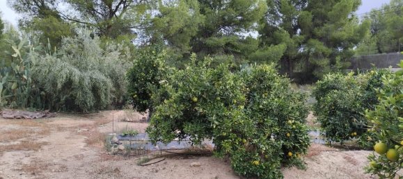 Земельный участок 5000м² в Тотана, Испания № 157290 6