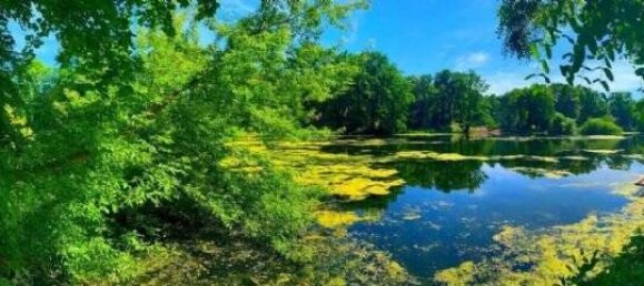 Дуплекс с 6 спальнями в Груневальд, Германия № 113528 6