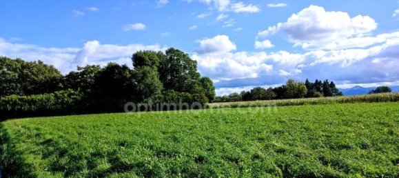 Grundstück in Lecussan, France 4898m², Nr. 100992 3