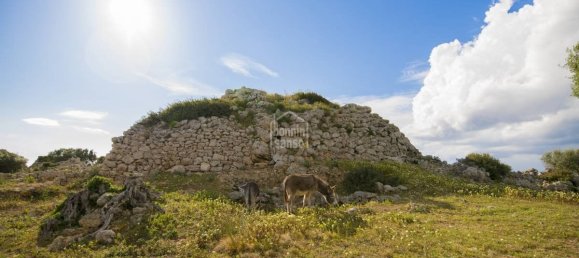 10 bedrooms Finca in Alaior, Spain No. 1413 2