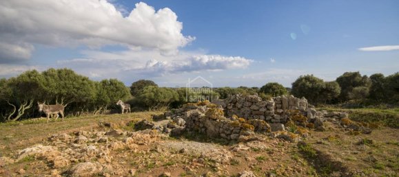 10 bedrooms Finca in Alaior, Spain No. 1413 4