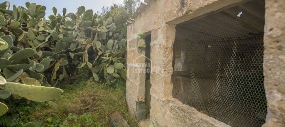 10 bedrooms Finca in Alaior, Spain No. 1413 8