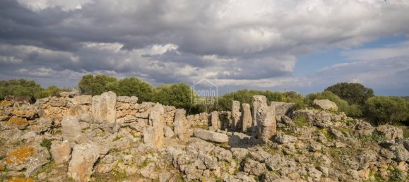 10 bedrooms Finca in Alaior, Spain No. 1413 3