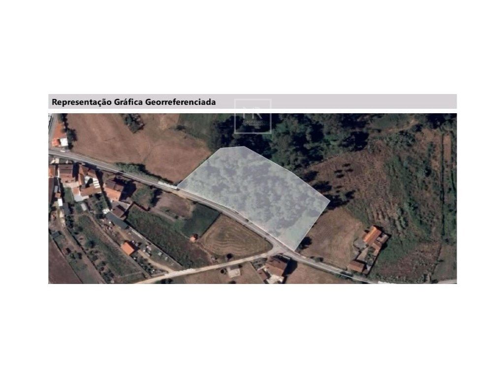 4800m² Land in Oliveira do Bairro, Portugal No. 257523