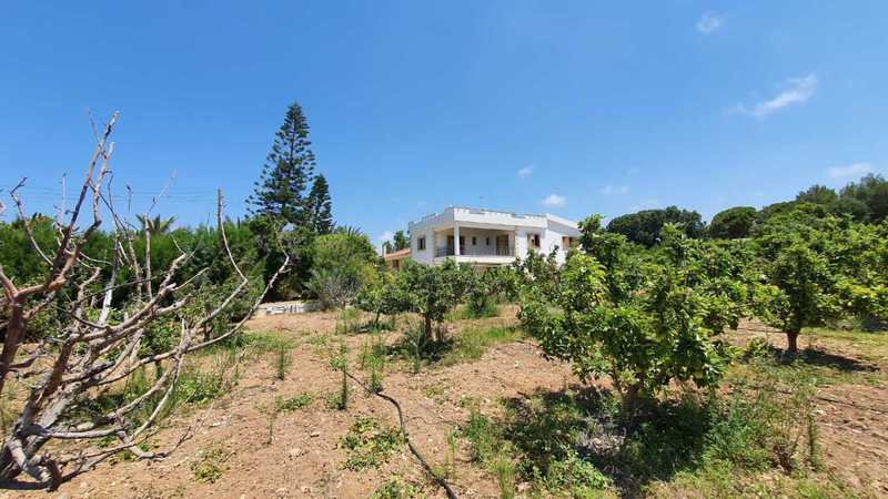 6 chambres Propriété commerciale à Chloraka, Cyprus No. 140025