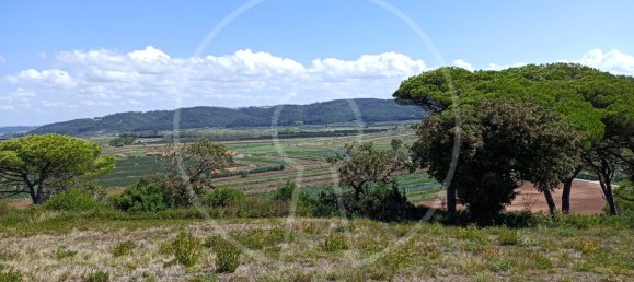  Land in Nazare, Portugal No. 144825 6