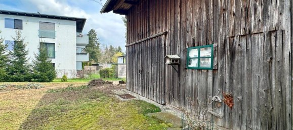 6 rooms House in Ried im Innkreis, Austria No. 187564 30