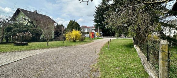 6 rooms House in Ried im Innkreis, Austria No. 187564 33