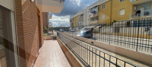 3 rooms Apartment in Bitonto, Italy No. 24160 14