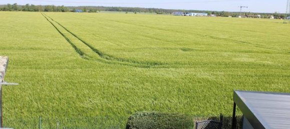 Casa de 5 divisões em Nordsachsen, Germany N.º 160071 7