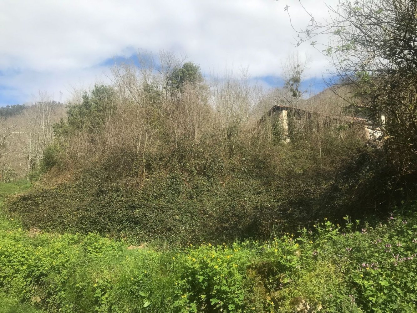 1044m² Land in Cangas de Onis, Spain No. 68735