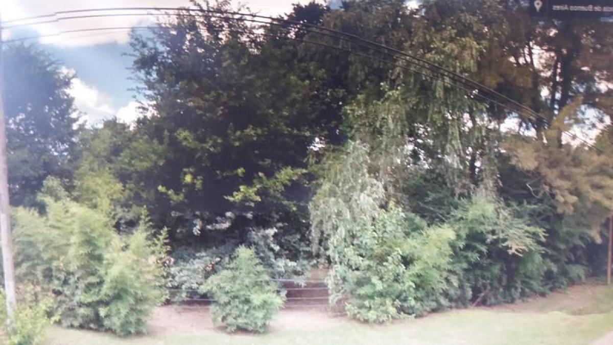  Land in Campo Creado, Argentina No. 48732