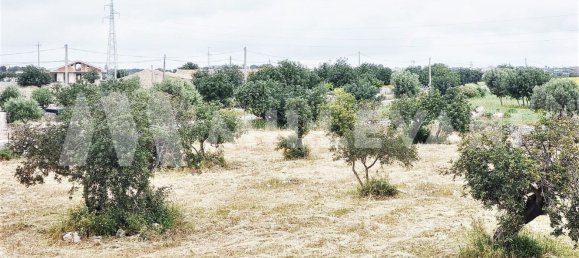 9 rooms House in Modica, Italy No. 133178 5