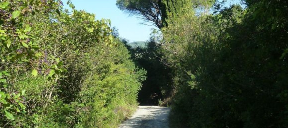 5570m² Land in Portoferraio, Italy No. 255595 2