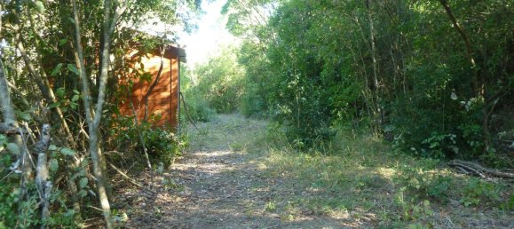 5570m² Land in Portoferraio, Italy No. 255595 3