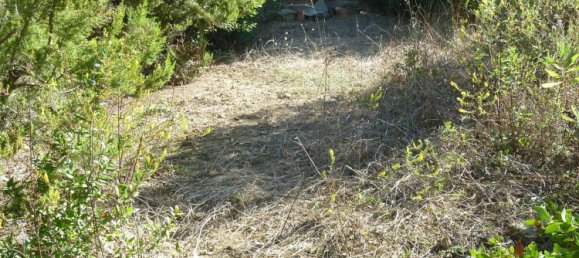 5570m² Land in Portoferraio, Italy No. 255595 7