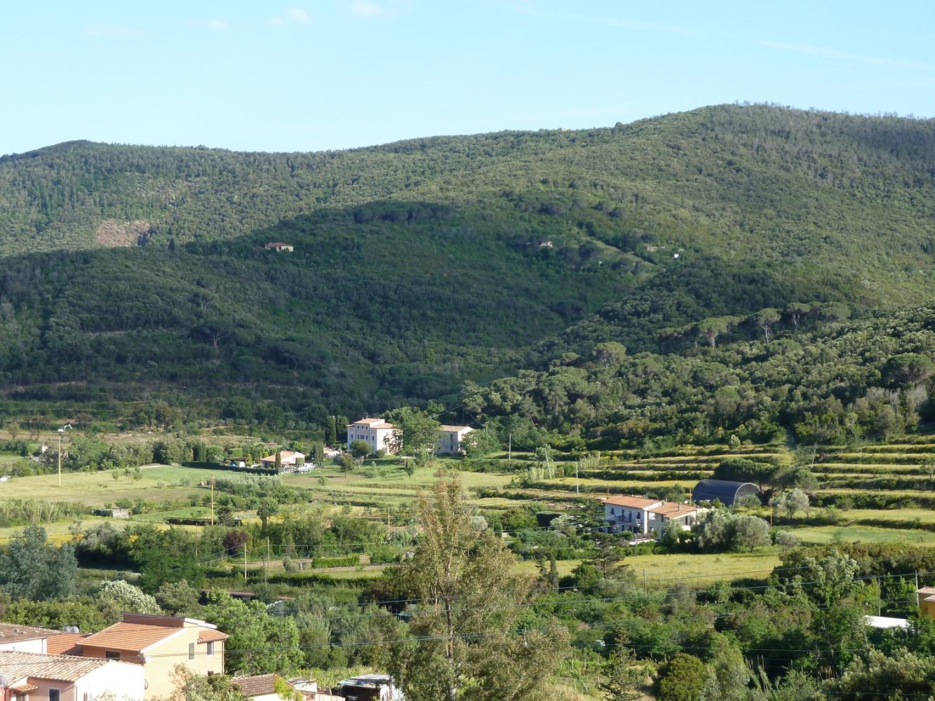 5570m² Land in Portoferraio, Italy No. 255595