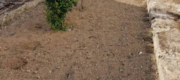 Вилла с 3 спальнями в Taviano, Италия № 251604 12