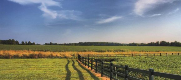 Grundstück in Prato, Italy 12500m², Nr. 73120 2