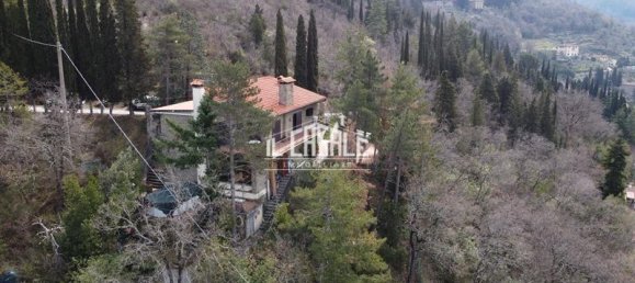 10 rooms Villa in Pelago, Italy No. 159163 19