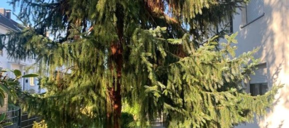 2غرفة شقة في Rhein-Sieg, Germany رقم 209778 40