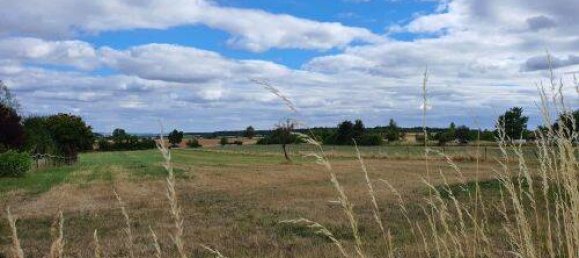 6-Zimmer Stadthaus in Schweinfurt, Germany, Nr. 202840 4