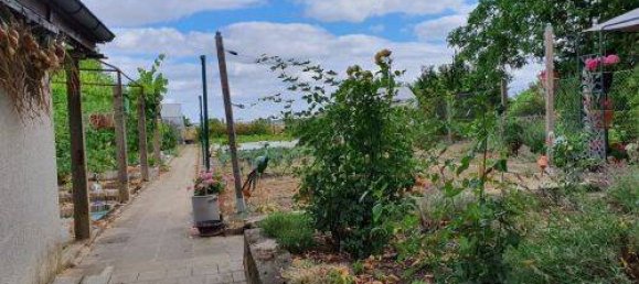 6-Zimmer Stadthaus in Schweinfurt, Germany, Nr. 202840 5