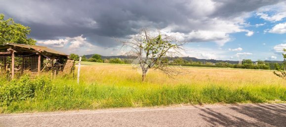 6 rooms House in Revigliasco d'Asti, Italy No. 114452 22