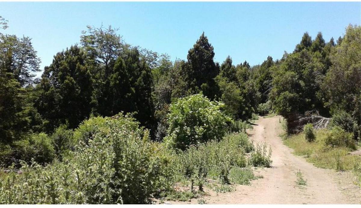 Terreno en Neuquén, Argentina No. 39076